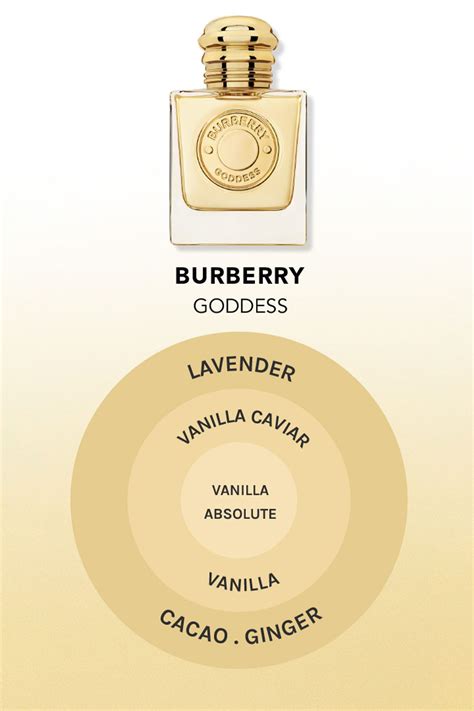 burberry goddess dupe|what does burberry smell like.